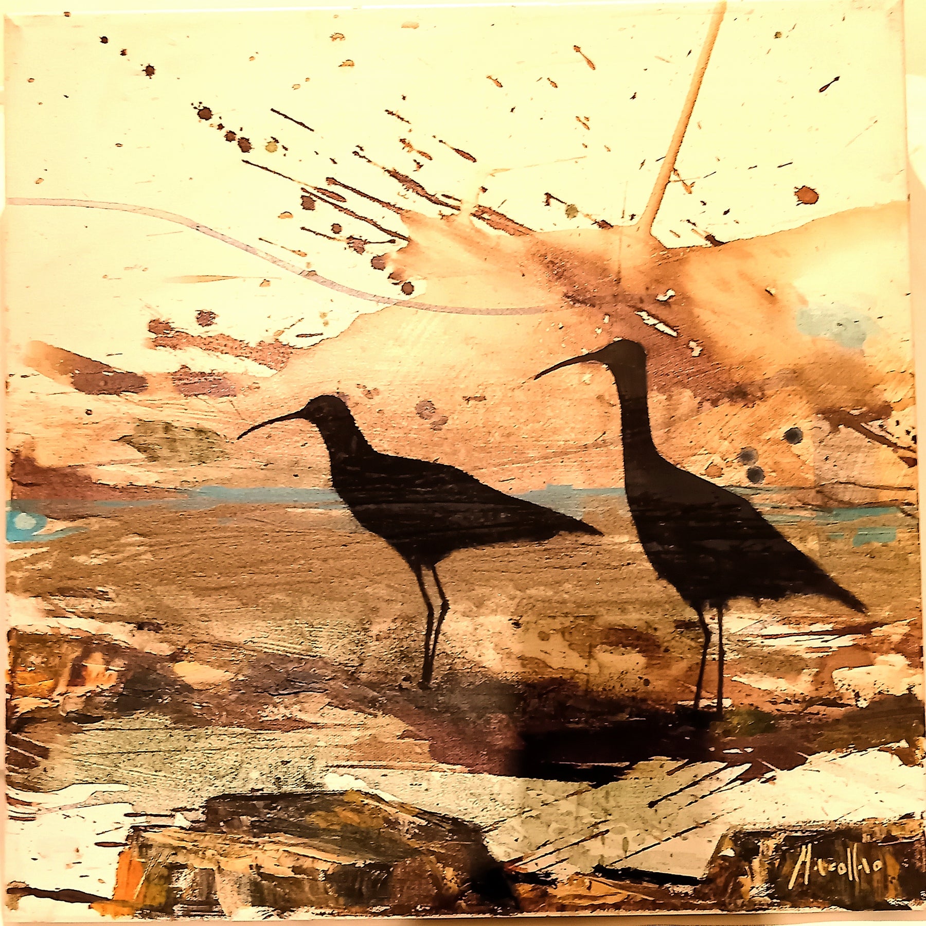 Pareja de zarapitos6