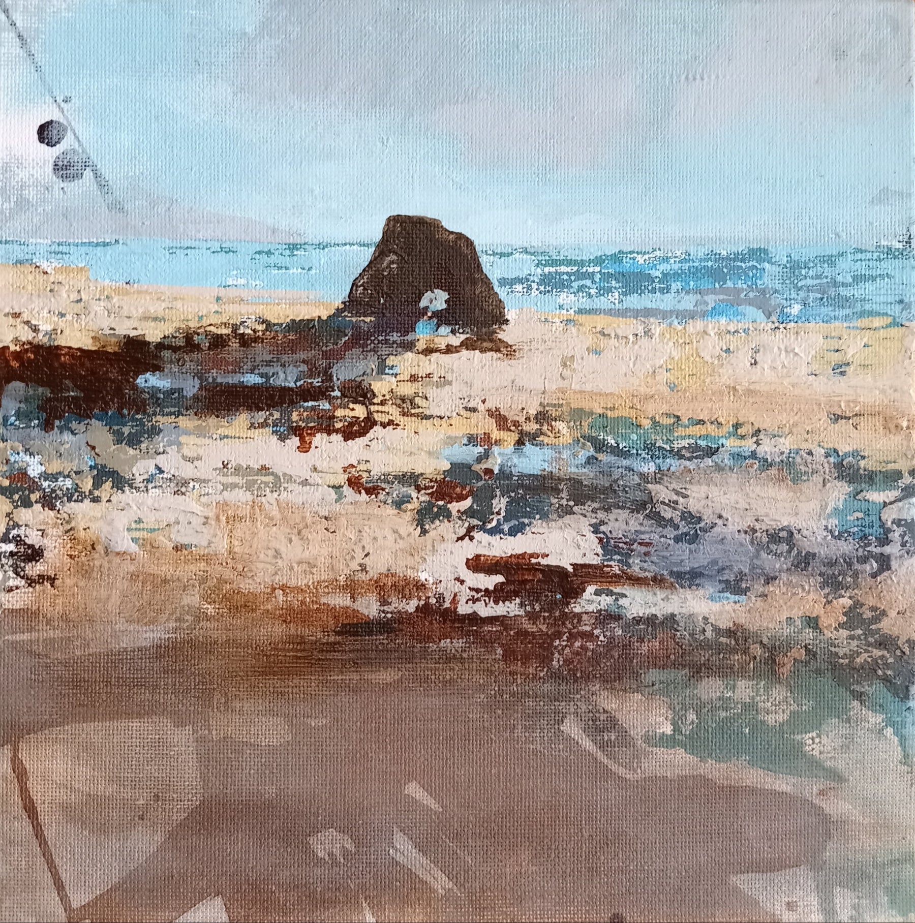 Estudios litorales II7